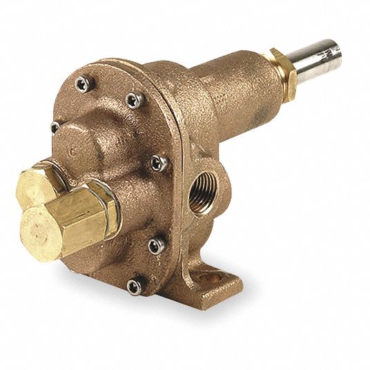 DAYTON Bronze Rotary Gear Pump Head, Pedestal Design 6NY816NY81 Grainger