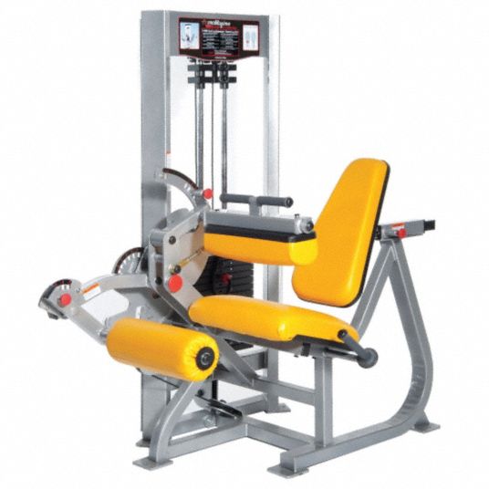 PROMAXIMA Leg Extension/Seated Leg Curl: Raptor, Selector Stack Wt, Legs, 1  Stations