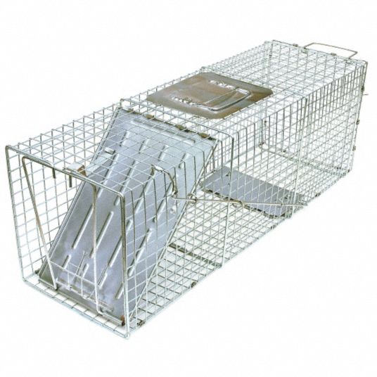 Live Animal Trap, Used For Ground Hogs, Wood Chucks, Opossums, Raccoons