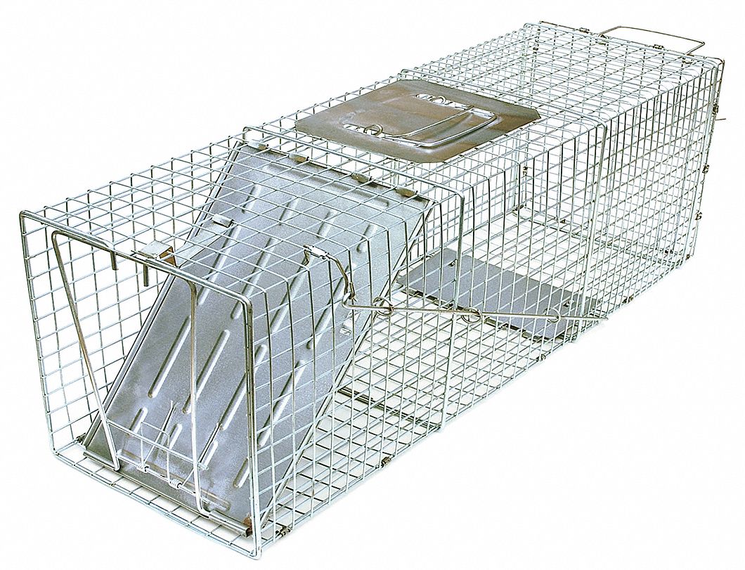 Live Animal Trap, Used For Chipmunks, Rabbits, Small Rodents, Squirrels -  Grainger