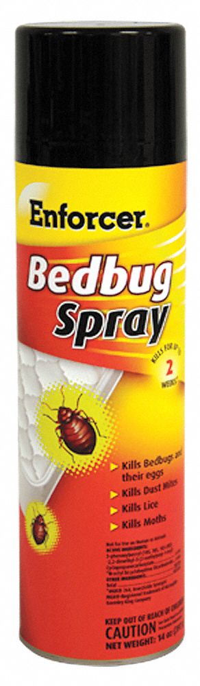 bed bug spray amazon uk