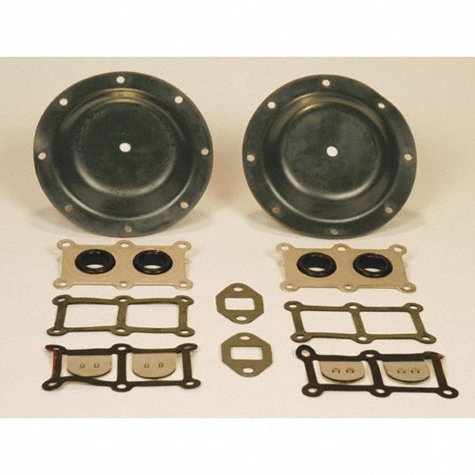 SANDPIPER Diaphragm Pump Repair Kit, Includes 2 Diaphragms, 4 Check