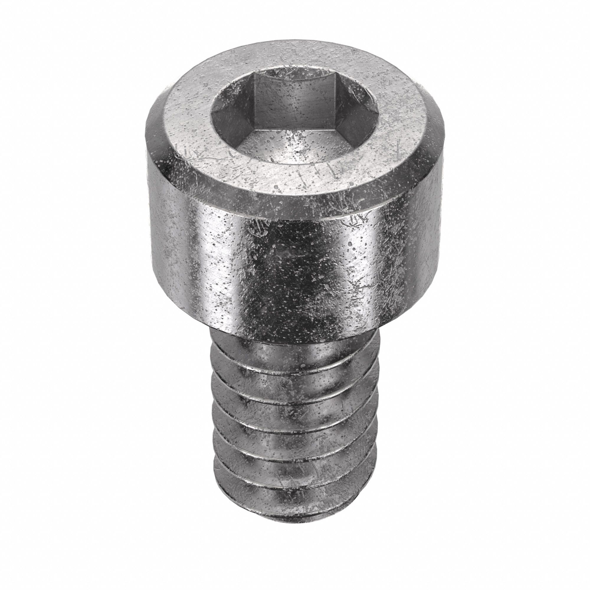 Socket Head Cap Screw: #6-32 Thread Size, 1/4 in Lg, Std, Plain, Stainless Steel, 18-8, 100 PK