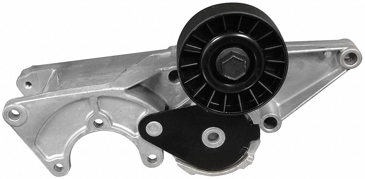 DAYCO Automatic Belt Tensioner 6XCC389250 Grainger