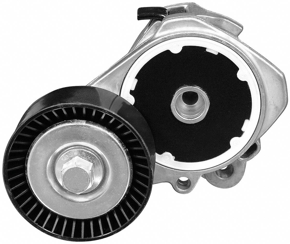 DAYCO, 89381, Automatic Belt Tensioner 6XCR789381 Grainger