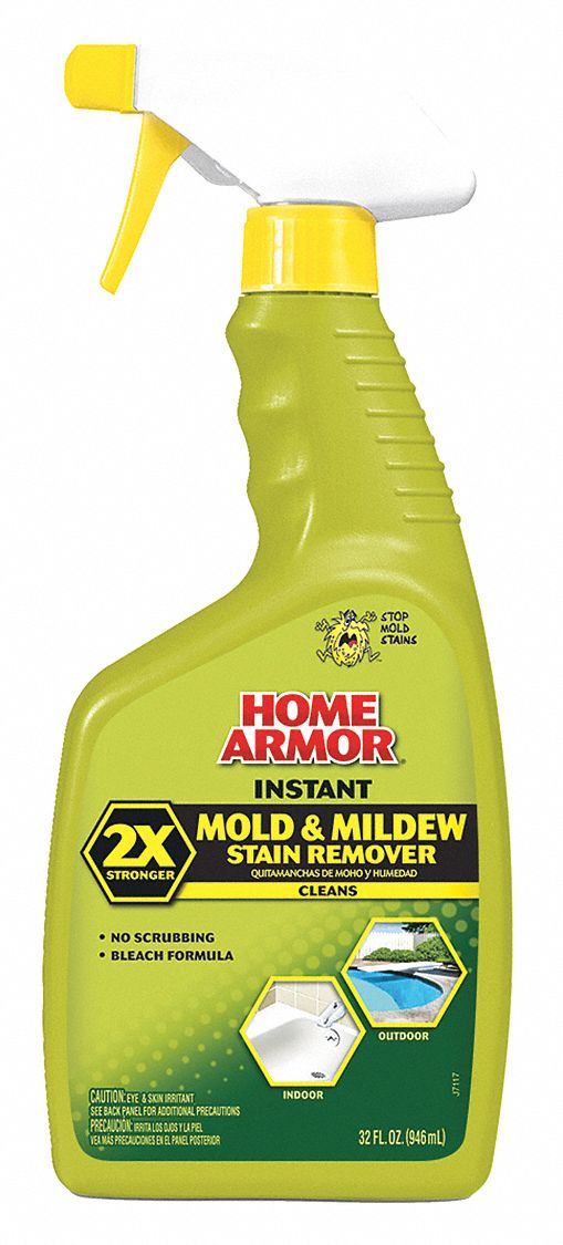 Remove Mold with Mold Spray From