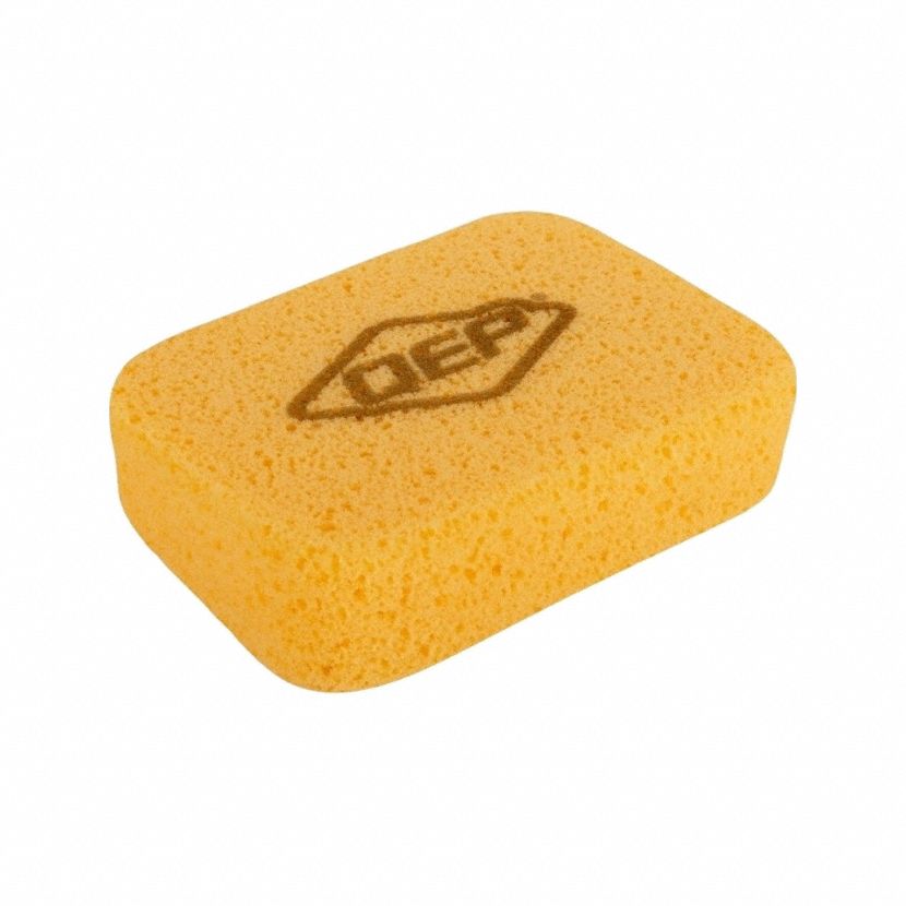 Sponges