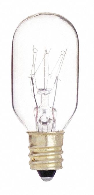 Incandescent, 25 W, T8