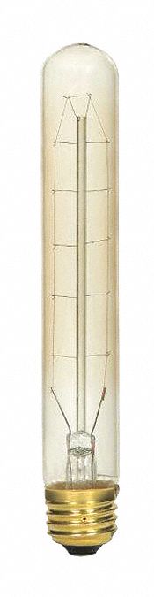 Incandescent, 40 W, T9