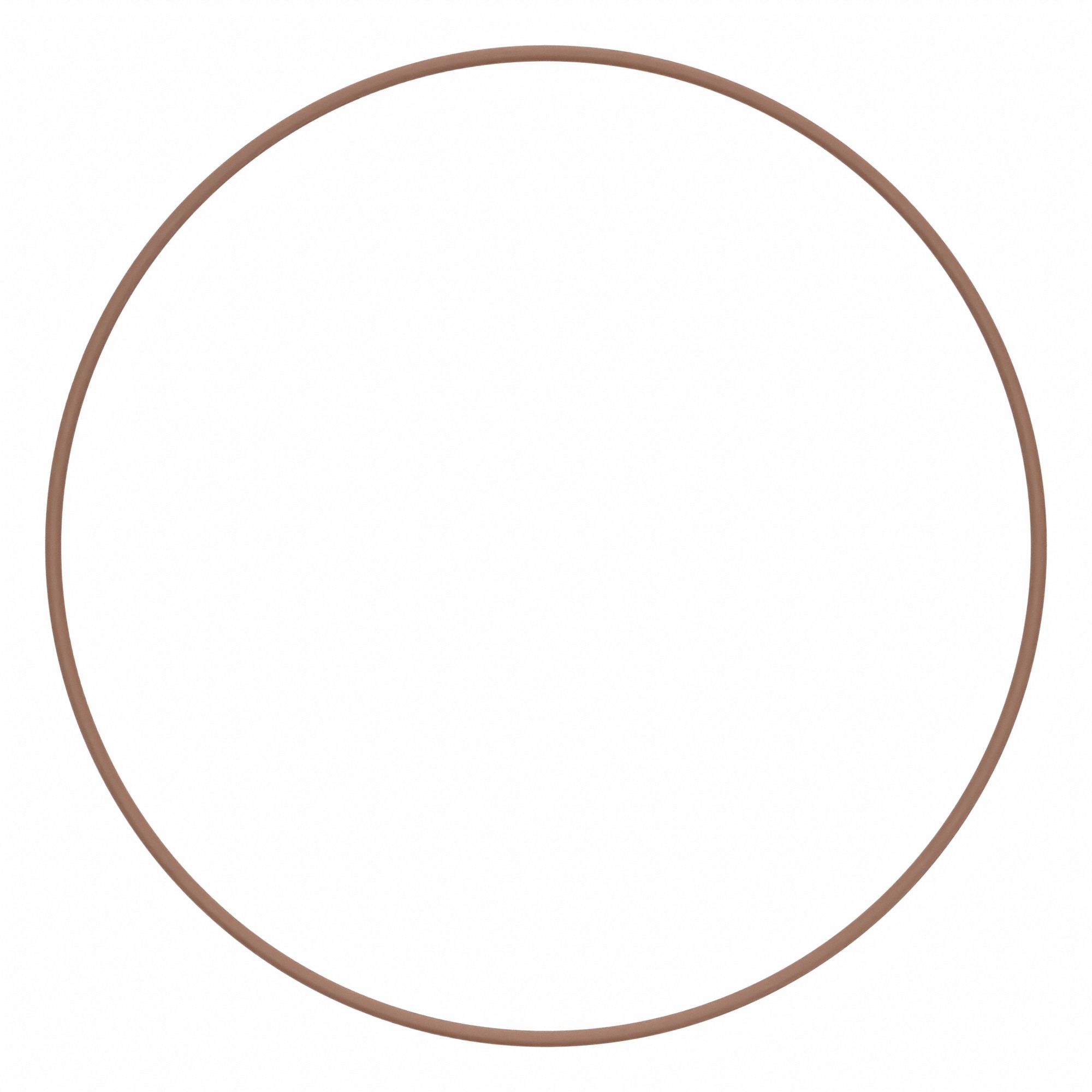 O-Ring: Viton®, Round, 3/32 in C.S., 9 3/4 in I.D., FDA Compliant, Metal Detectable, 2 PK