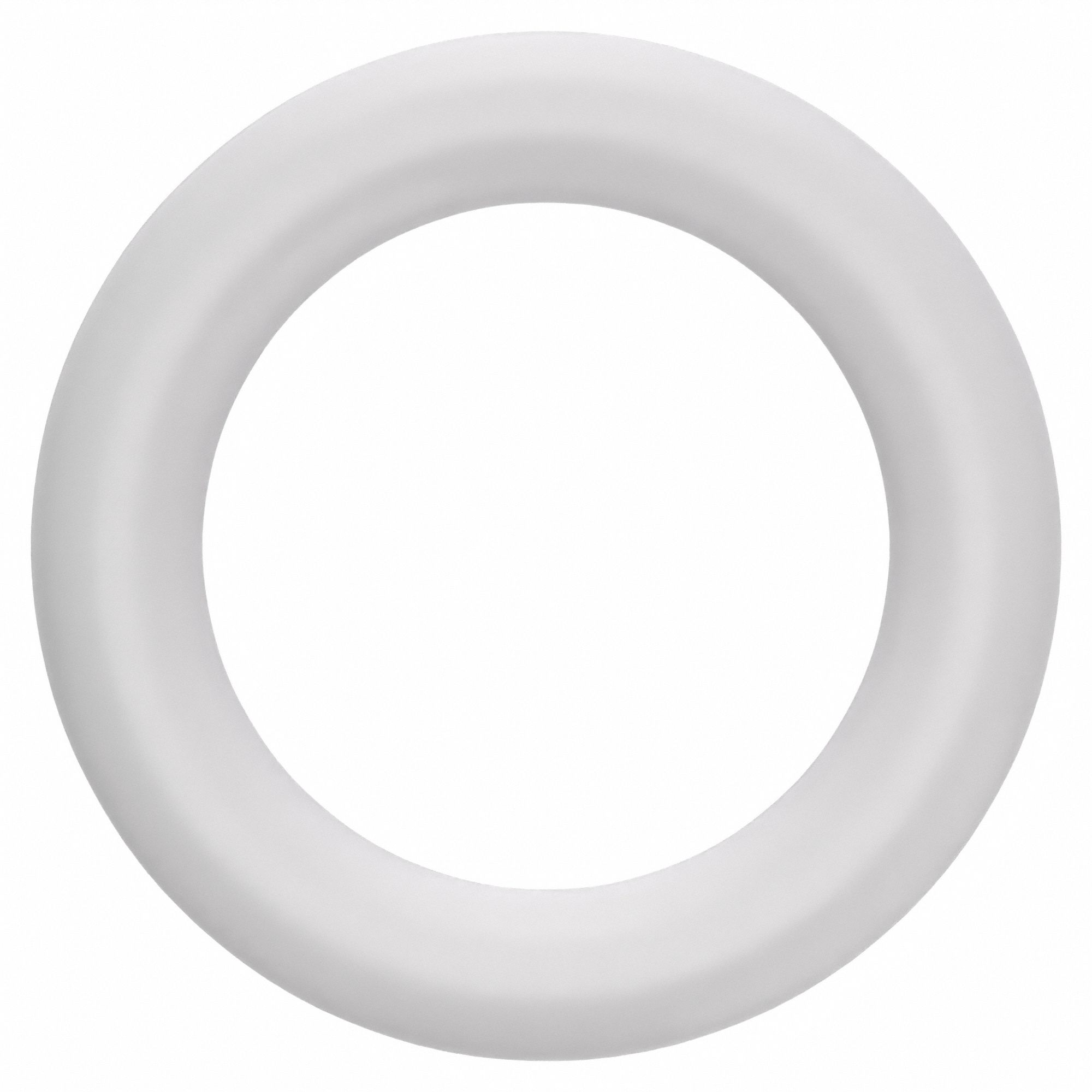 O-Ring: Viton®, Round, 3/32 in C.S., 5/16 in I.D., FDA Compliant, Metal Detectable, 10 PK