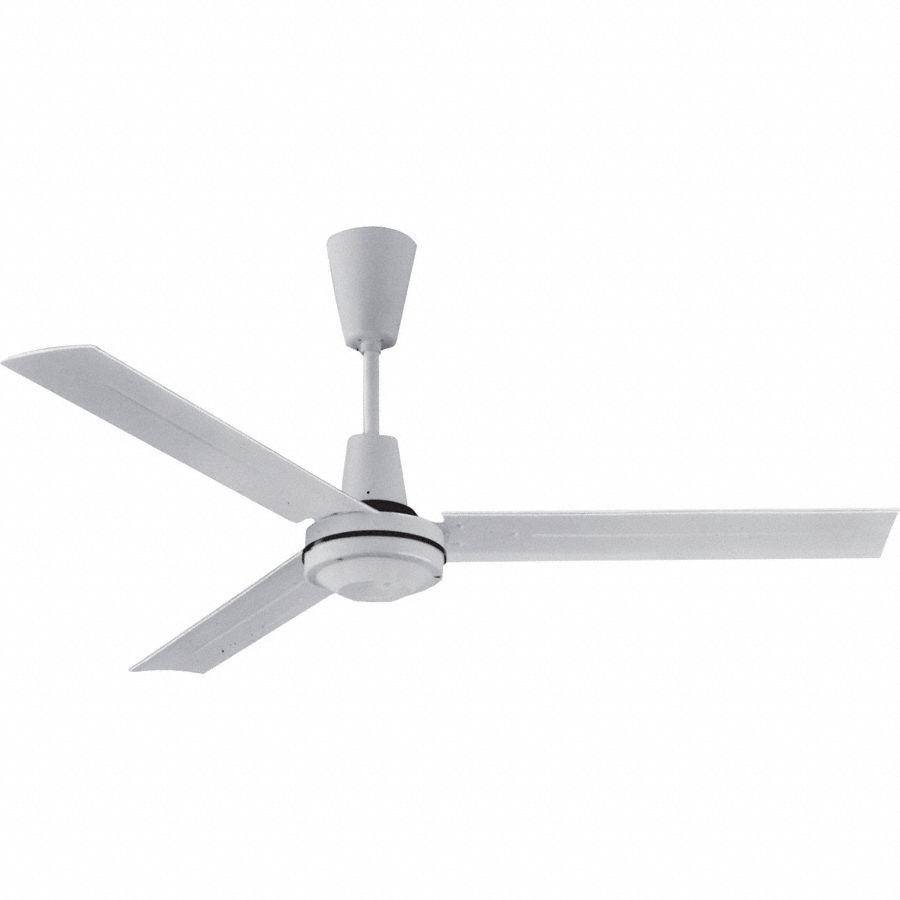 QMARK, 56 in Blade Dia, Variable Speeds, Commercial Ceiling Fan