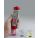 Product Image #6