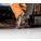 Product Image #5