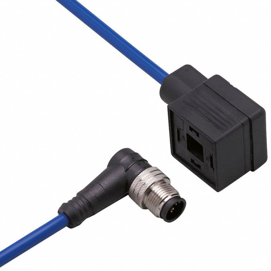 Patch cable: M12 Male Right Angle x DIN Form A, 2 ft Cable Lg, PVC, Blue, 5 Pins, IP67