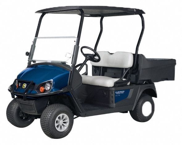 Utility Vehicle: 2 Seating Capacity, Electric, Lithium Battery, 14.9 hp HP