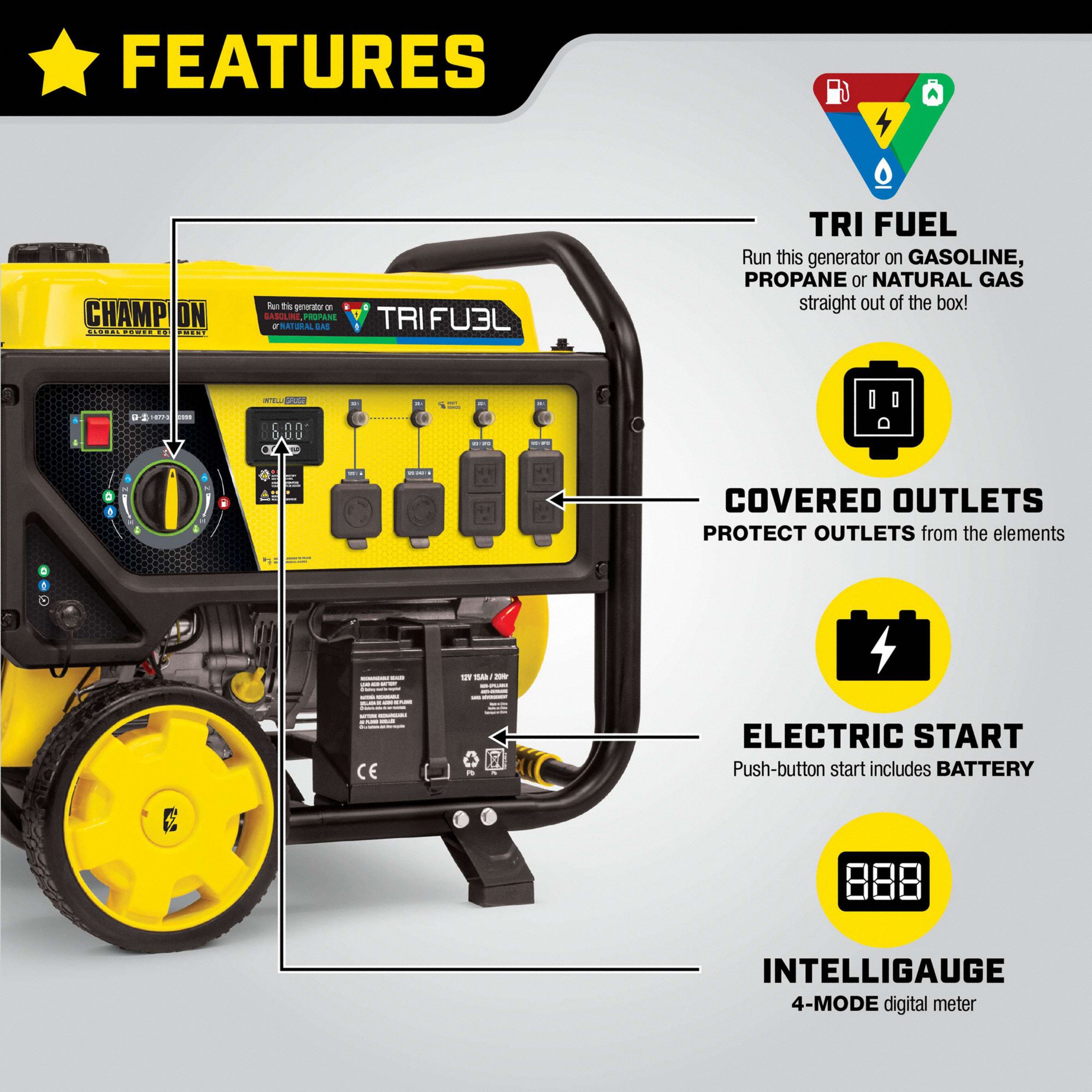 CHAMPION POWER EQUIPMENT Portable Generator: Gasoline/Liquid Propane ...