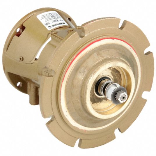 ARMSTRONG PUMPS INC., for InLine Circulating Pumps, 818602200K