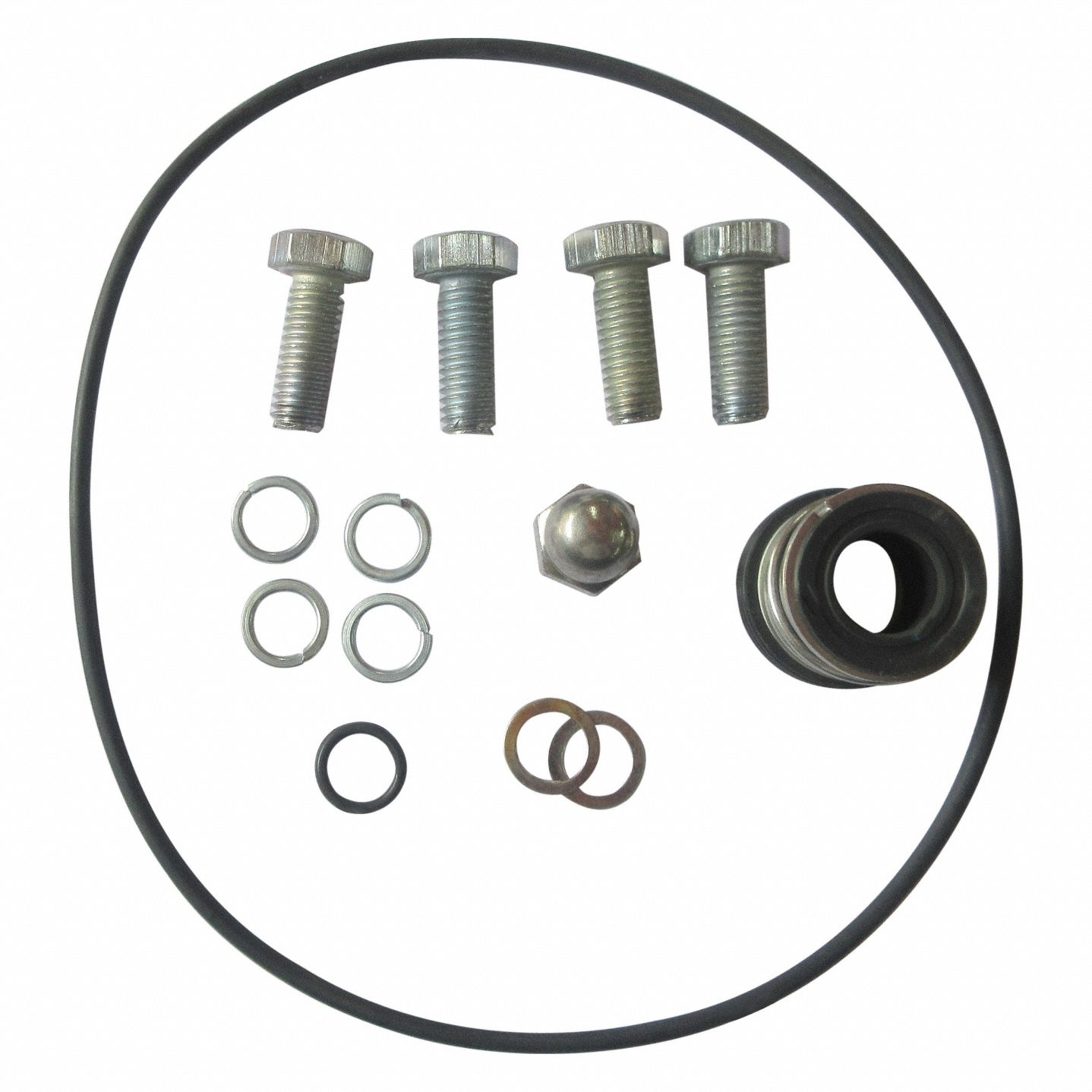 Pump Repair Kit: Mfr Part # GGS_103698