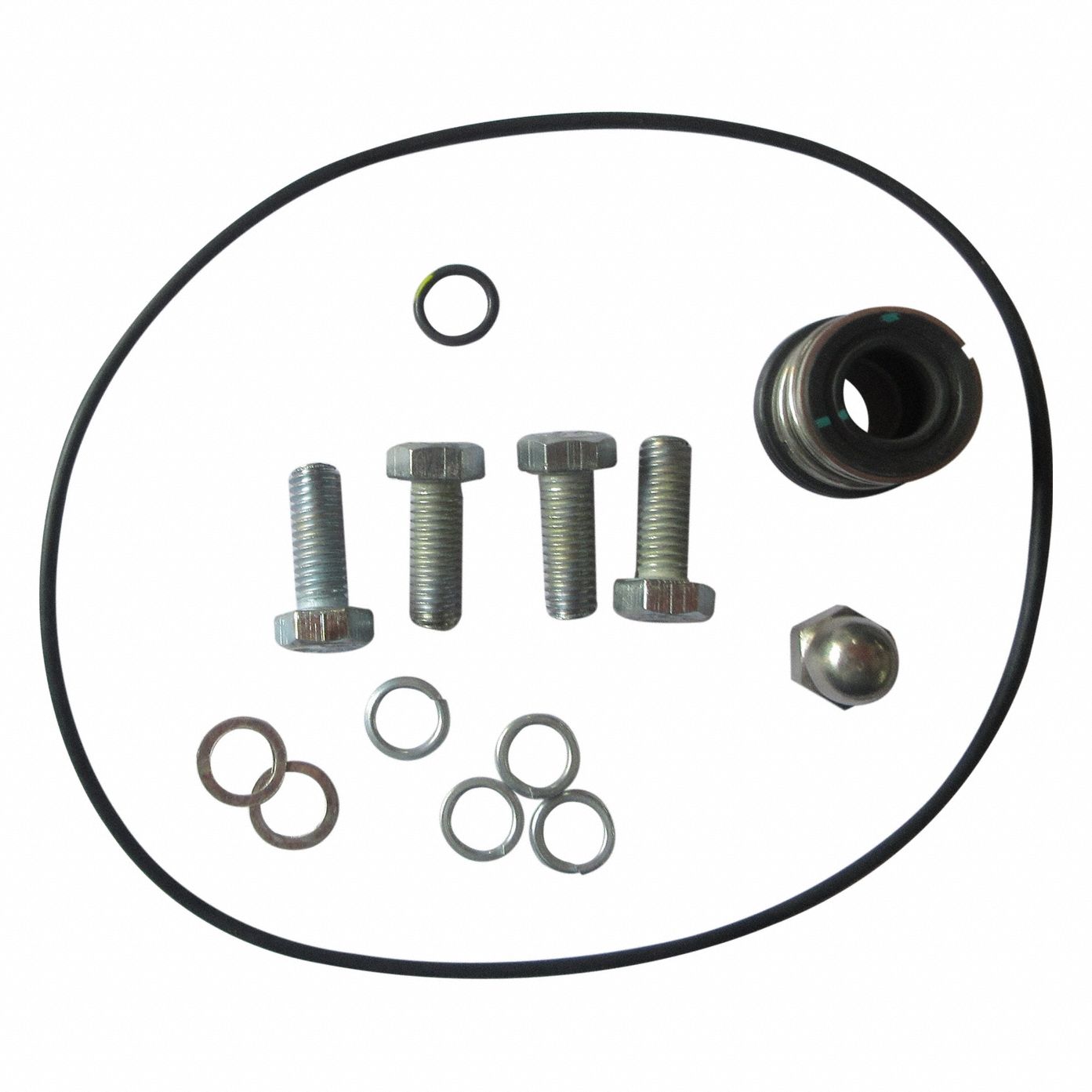 Pump Repair Kit: Mfr Part # GGS_103724