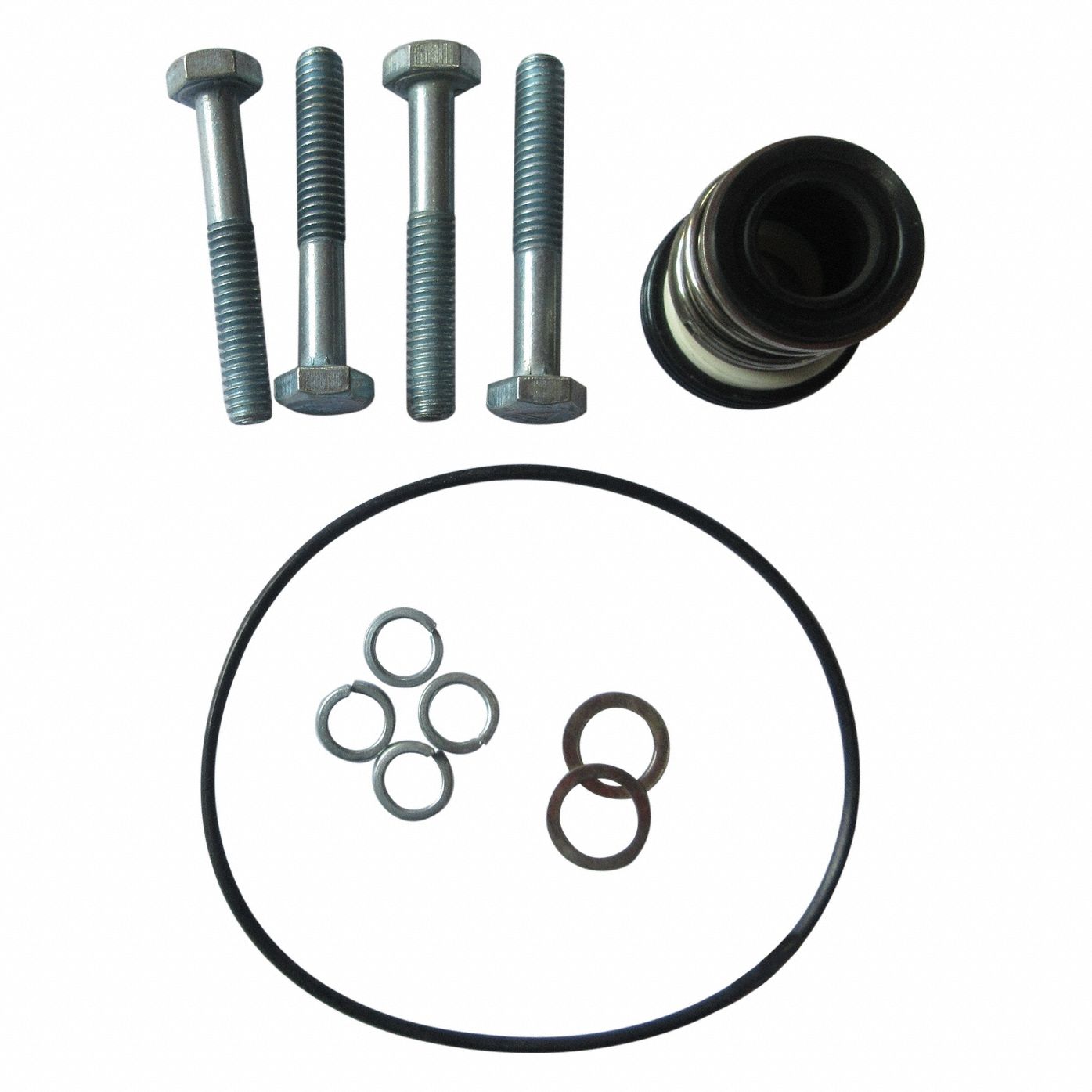 Pump Repair Kit: Mfr Part # GGS_103704, 2ZWN9/2ZWR4
