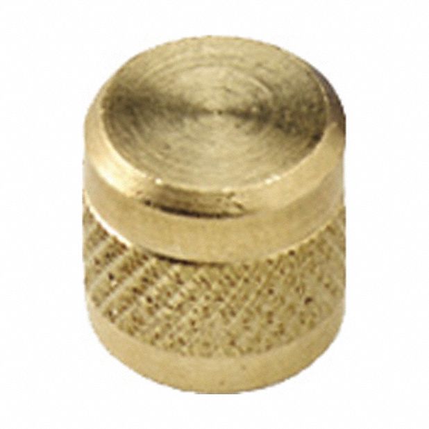 Access Valve Cap: 1/4 in Female SAE Right-Hand, 4 1/2 in Overall Ht, Brass, 10 PK