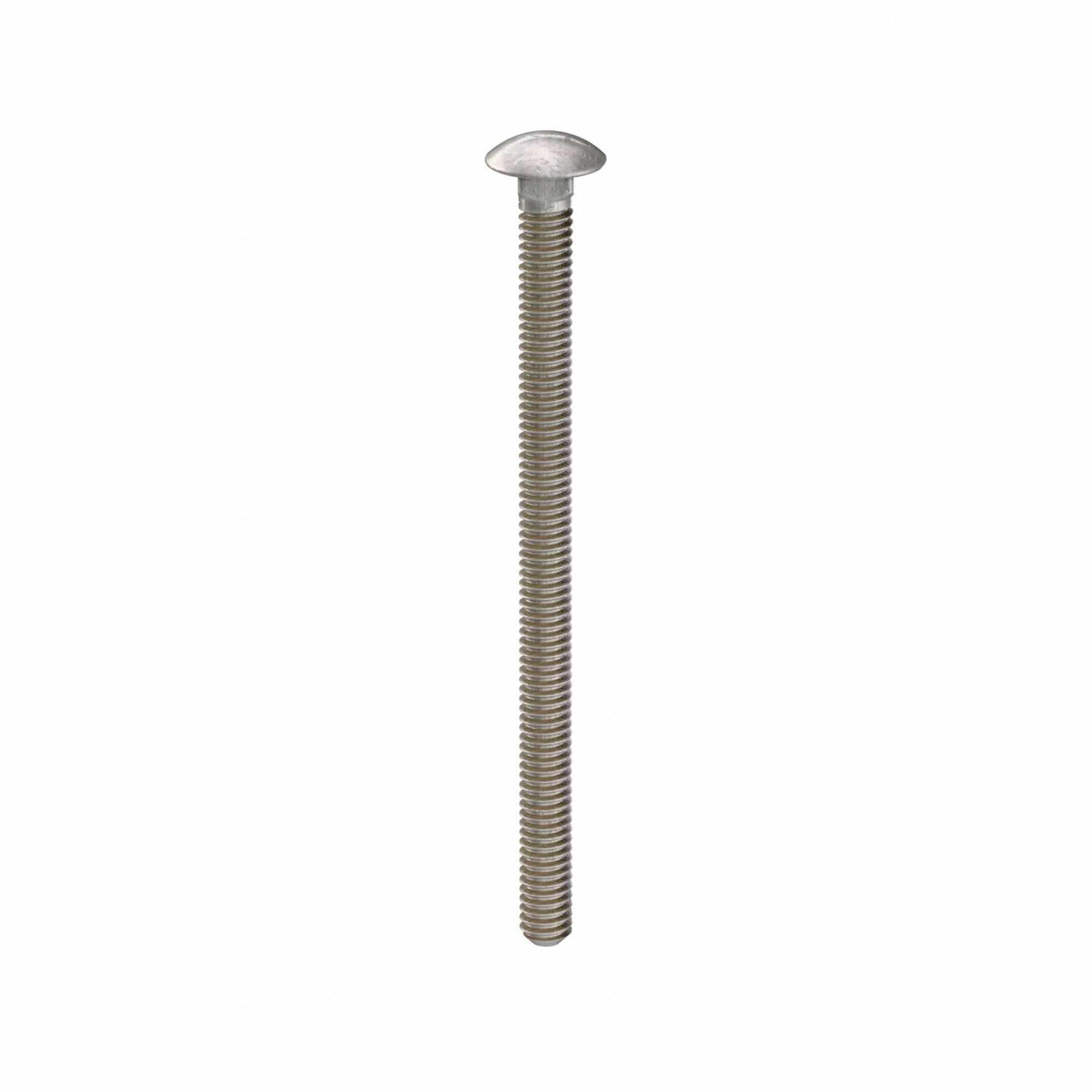 Carriage Bolt: Square Neck, 1/4"-20 Thread Size, 4 in lg, Stainless Steel, 316, Plain