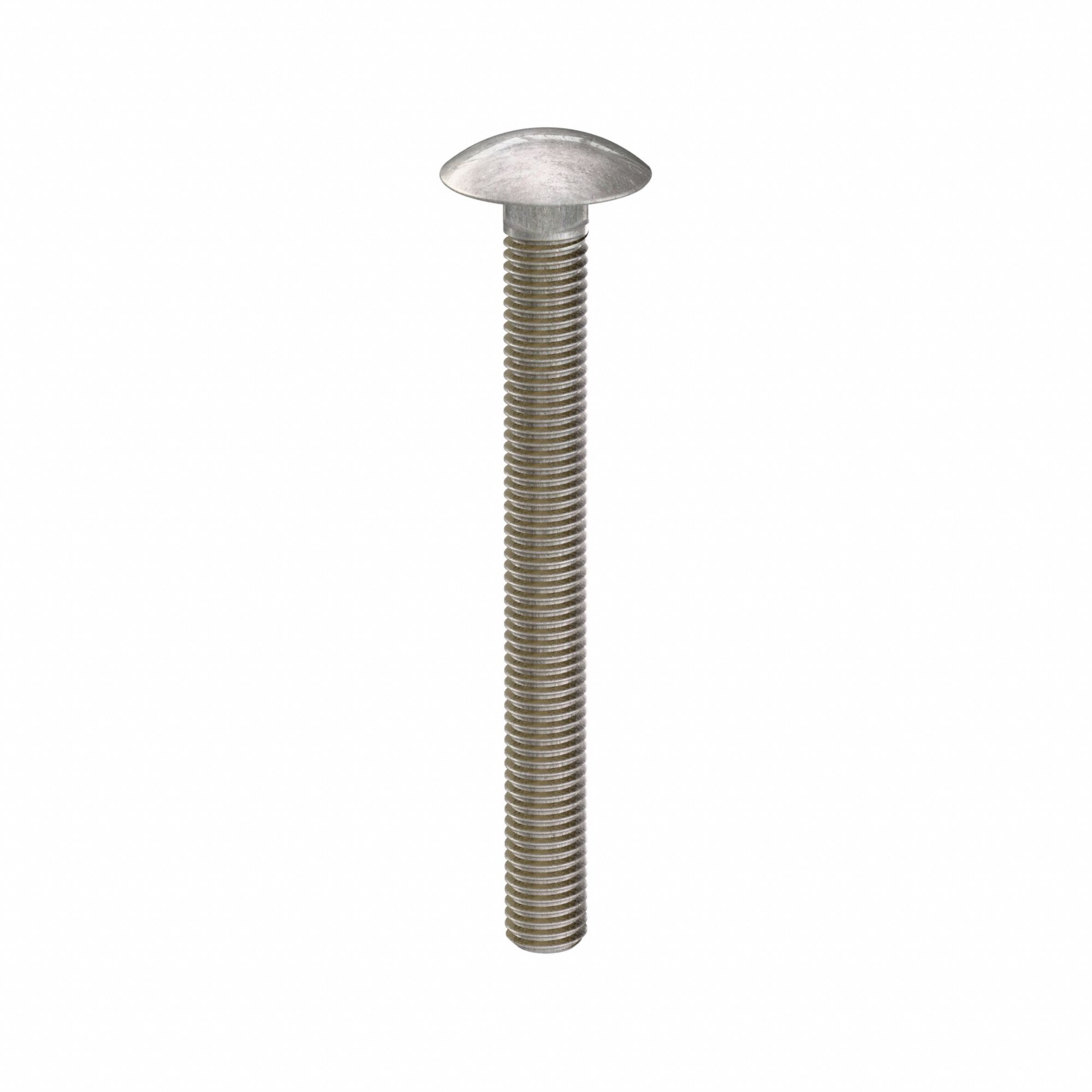 Carriage Bolt: Square Neck, 1/2"-13 Thread Size, 5 in lg, Stainless Steel, 316, Plain