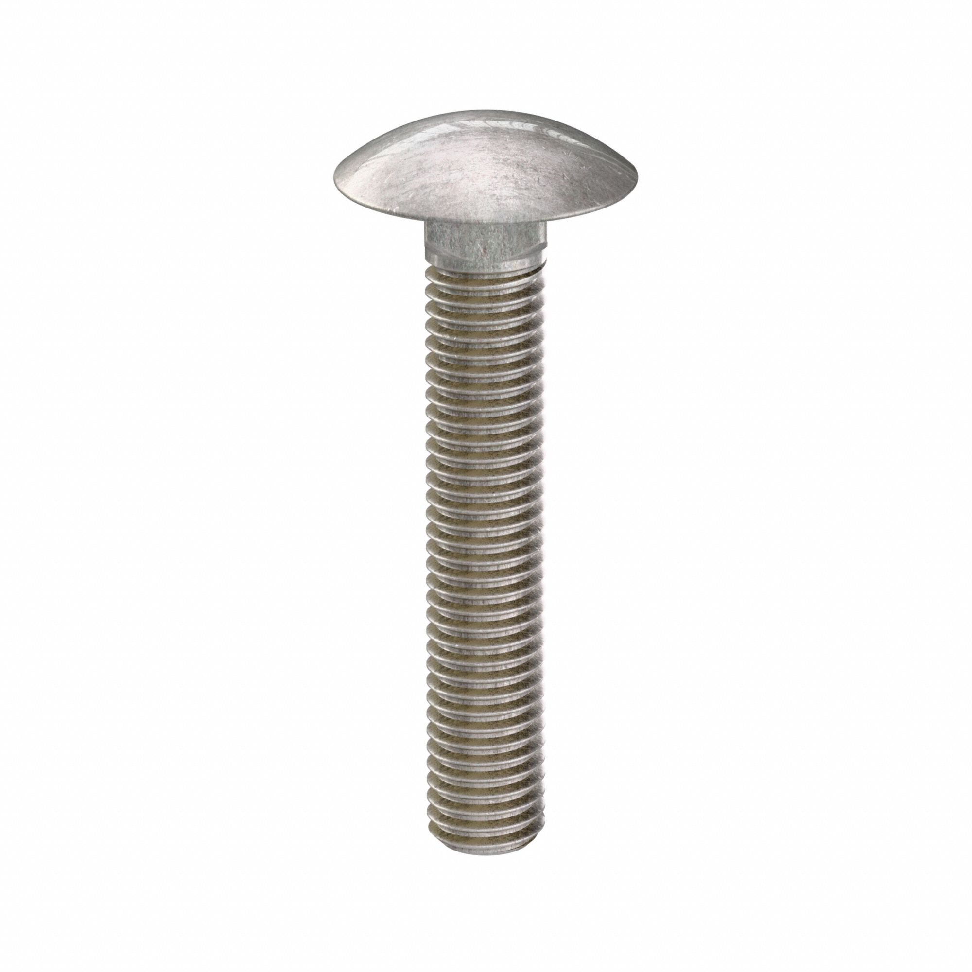 Carriage Bolt: Square Neck, 1/2"-13 Thread Size, 3 in lg, Stainless Steel, 316, Plain