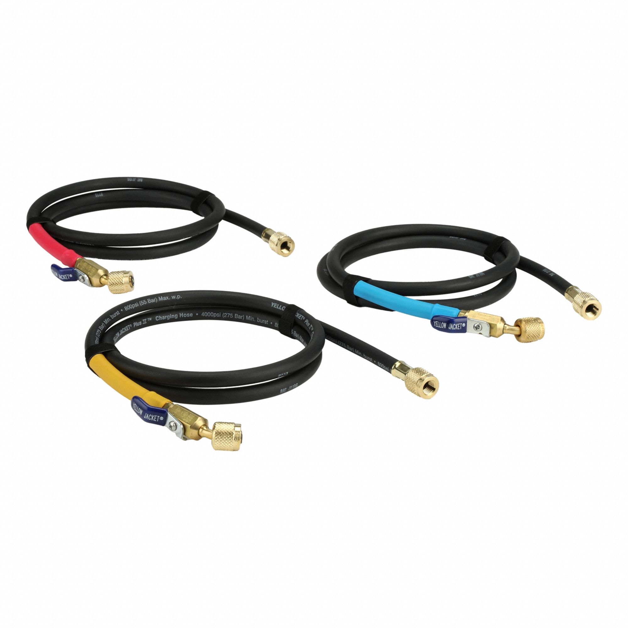 Hose: Black, Hoses,