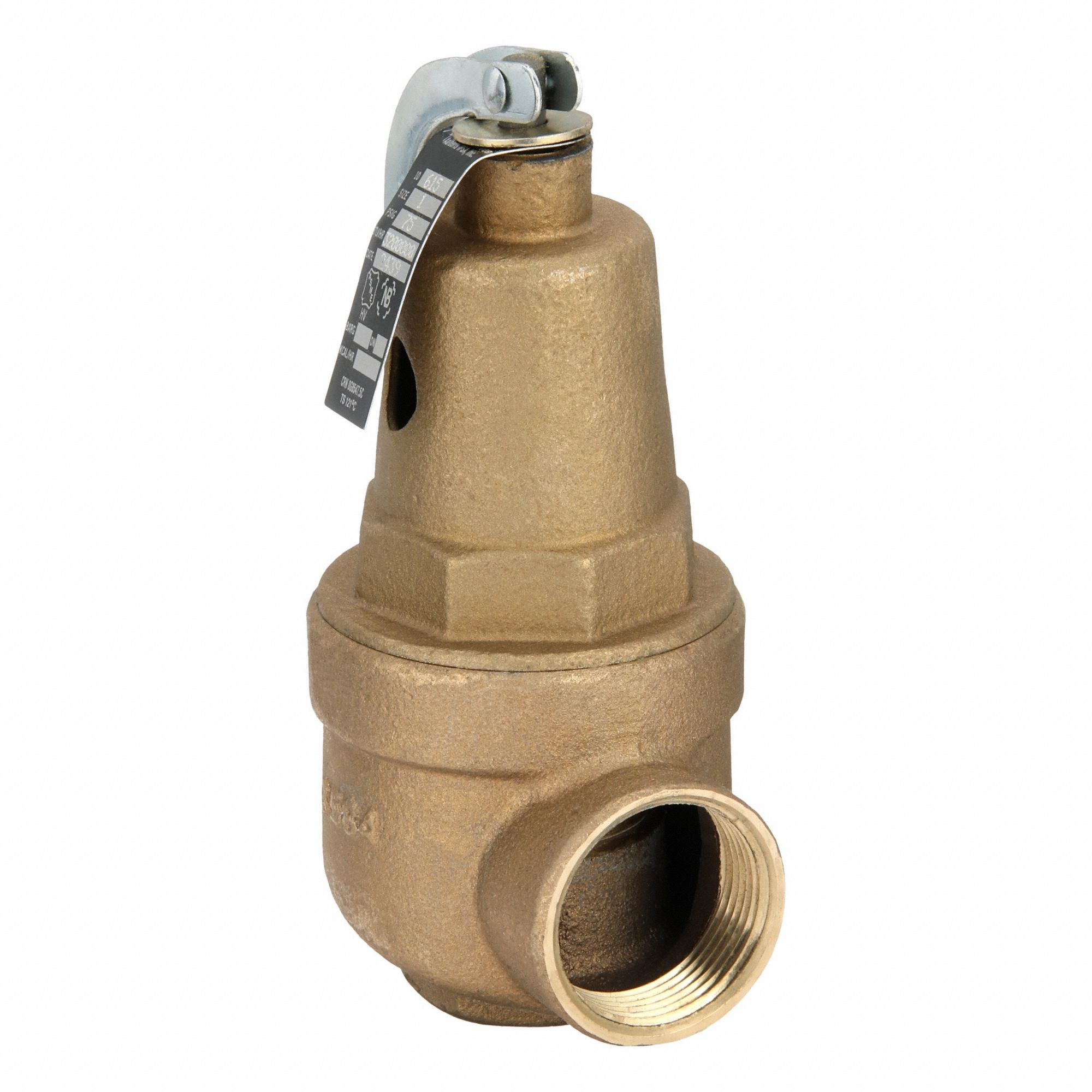 Relief Valve: FNPT x FNPT, 1 in x 1 1/4 in, Bronze, 160 psi Max. Op Pressure