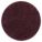 Primary Product Image
