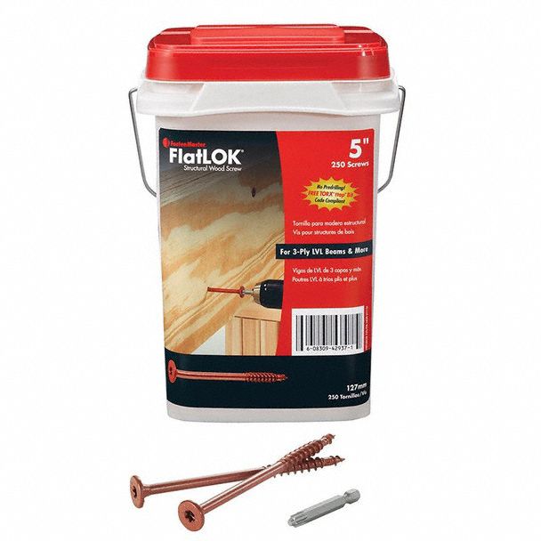 Wood Screw 5in L PK250