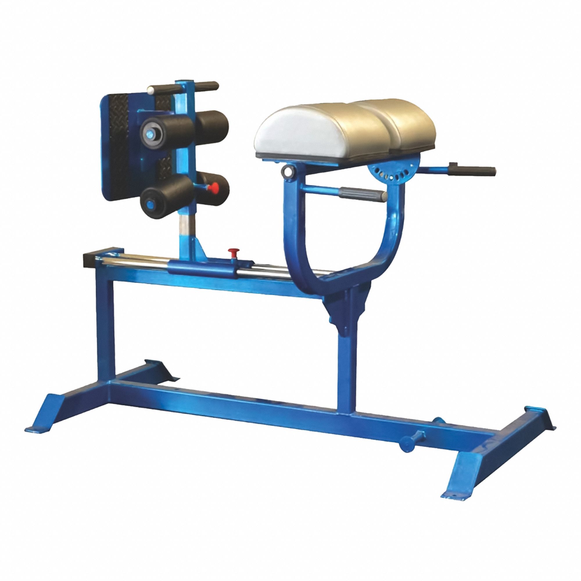 PROMAXIMA, Steel, Powder Coated, Glute and Ham Developer - 846CP4|PLR ...