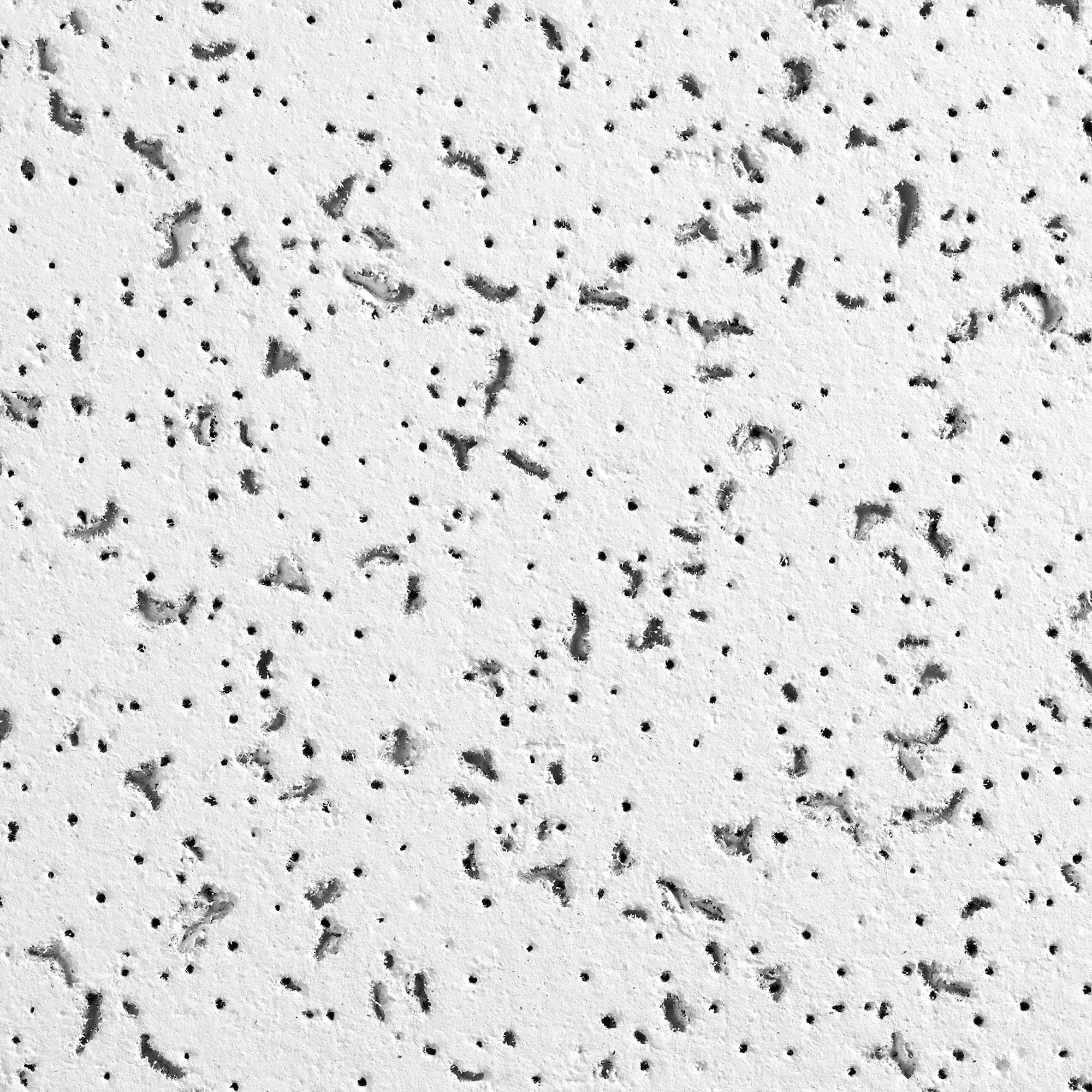 CORTEGA SQ LAYIN 20X60X5/8