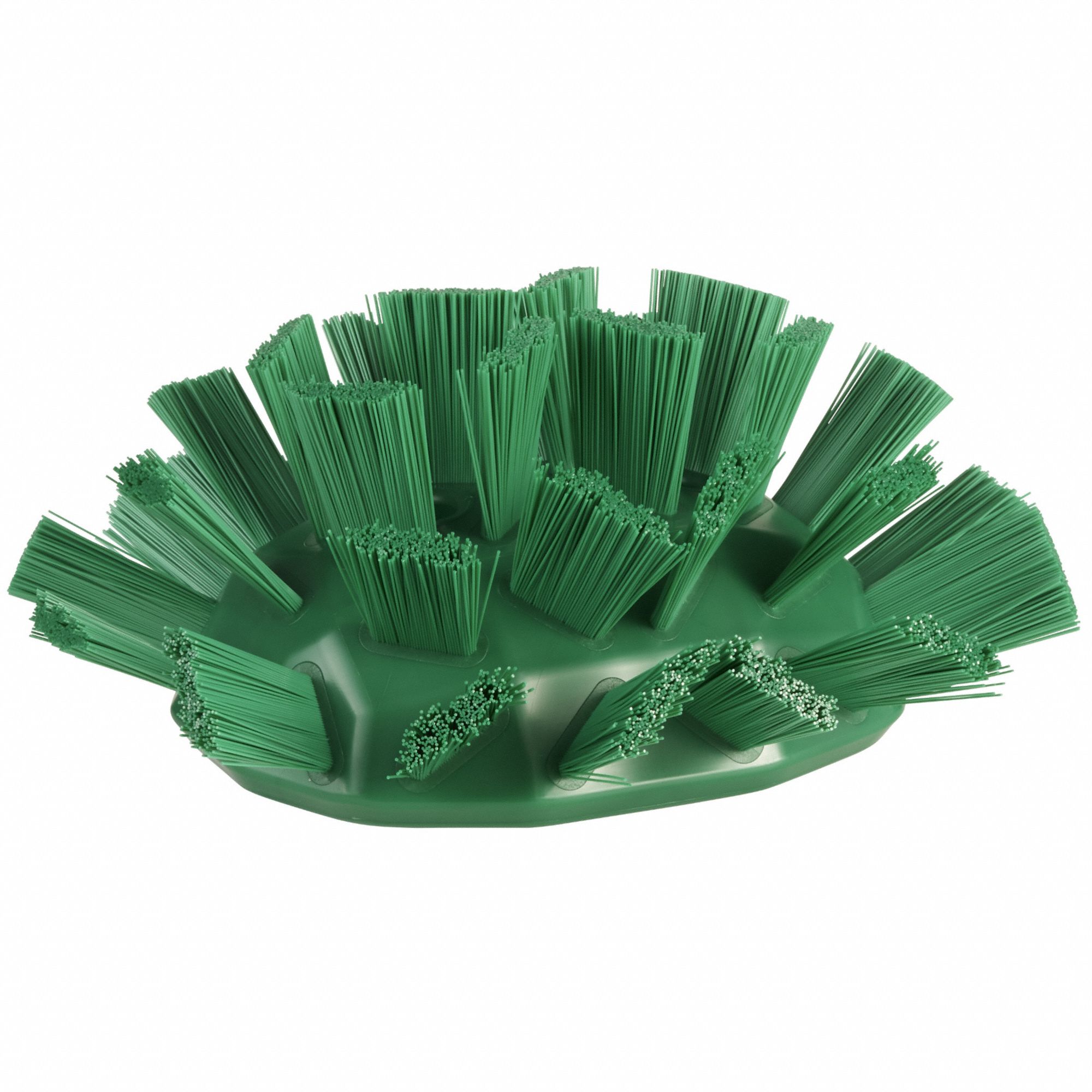 Tank Brush Head: Stiff, 7 1/2 in Brush Lg, 6 11/16 in Head Wd, Green, European