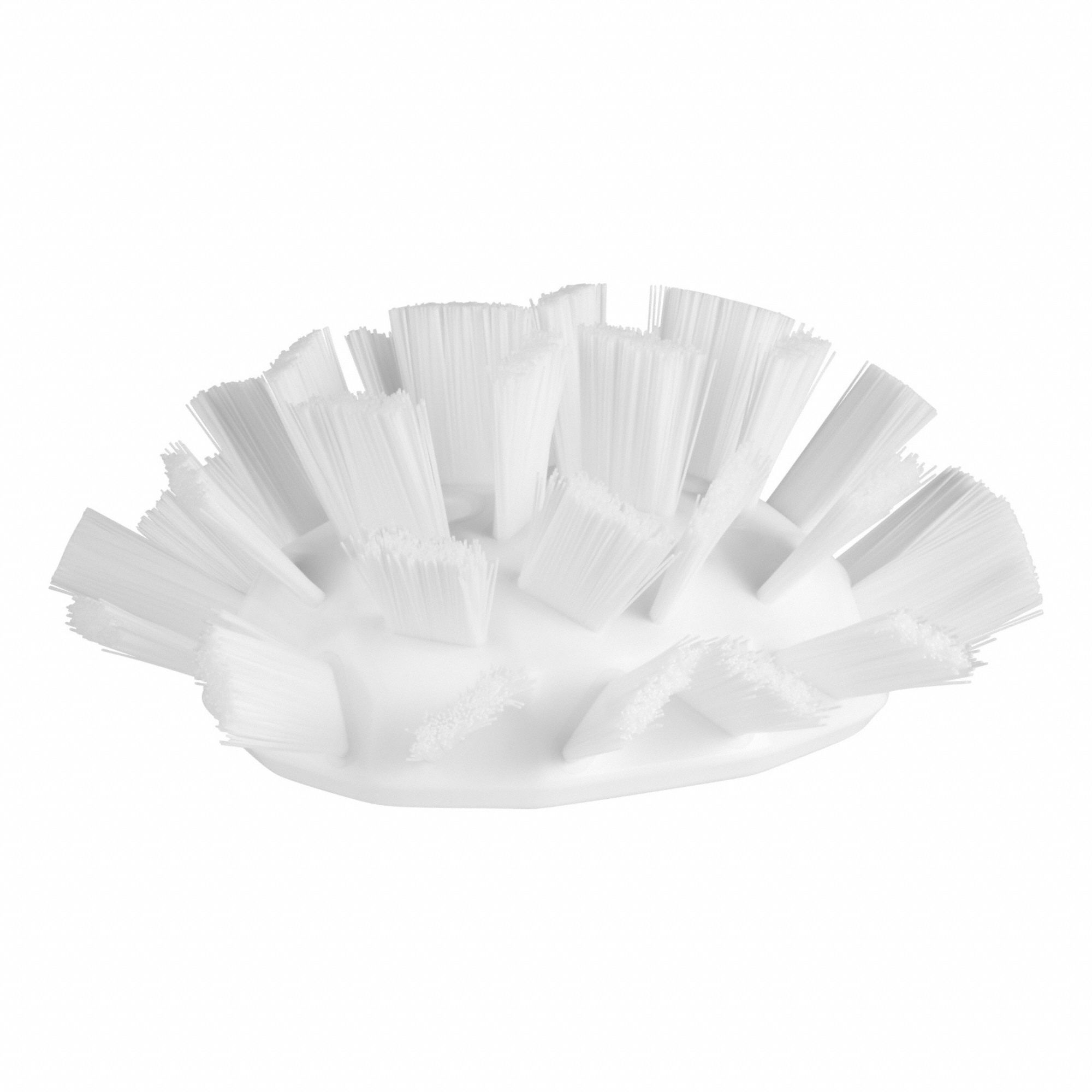 Tank Brush Head: Stiff, 7 1/2 in Brush Lg, 6 11/16 in Head Wd, White, European