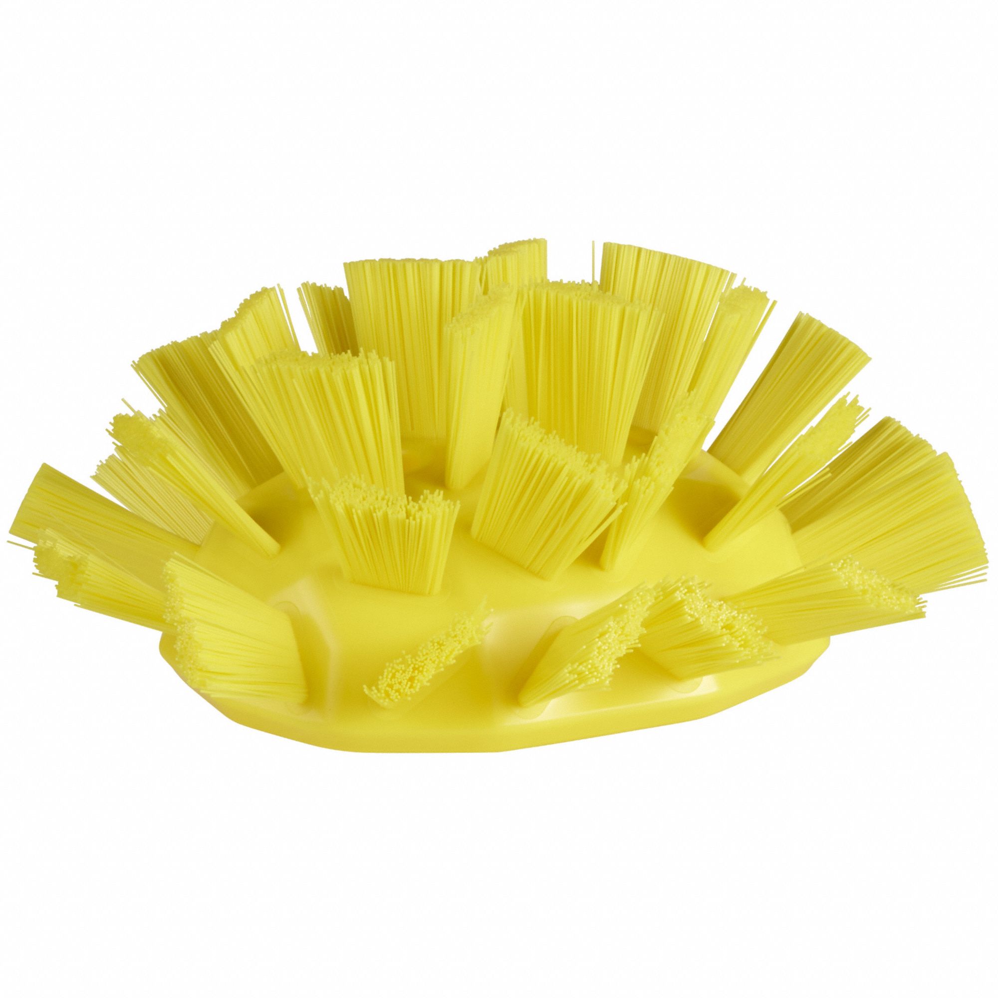 Tank Brush Head: Stiff, 7 1/2 in Brush Lg, 6 11/16 in Head Wd, Yellow, European
