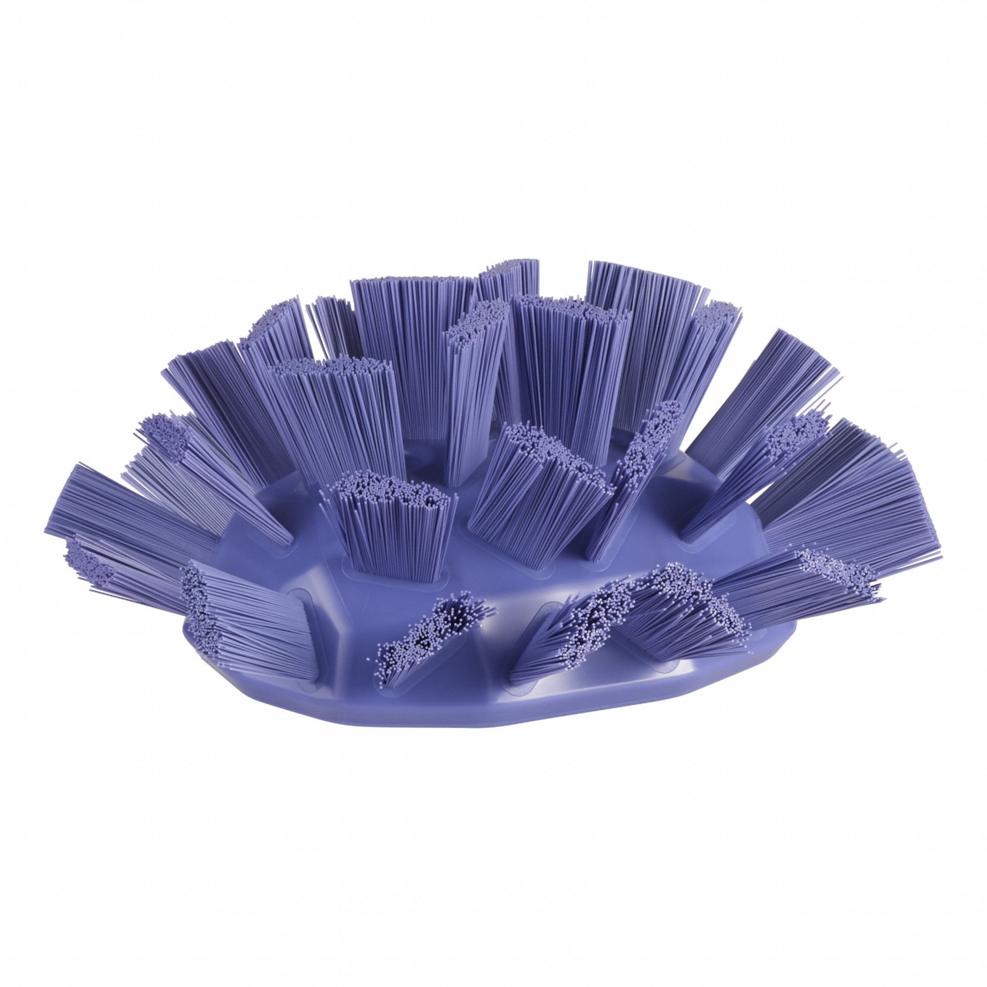 Tank Brush Head: Stiff, 7 1/2 in Brush Lg, 6 11/16 in Head Wd, Purple, European