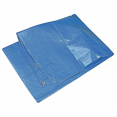 Tarp, Polyethylene, 20x30 ft., Blue