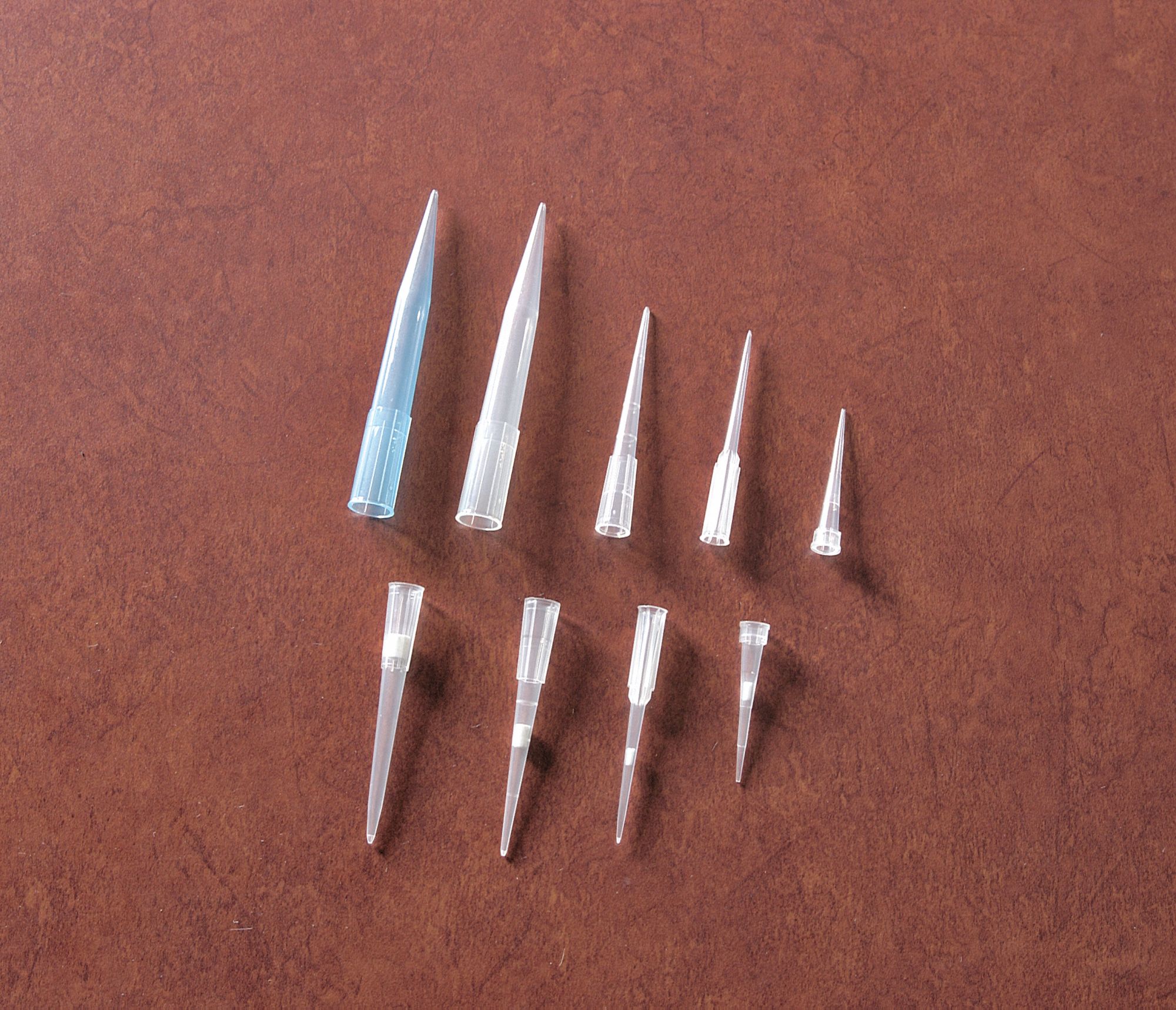 Graduated Pipette Tip: 2 to 200uL, 1,000 PK