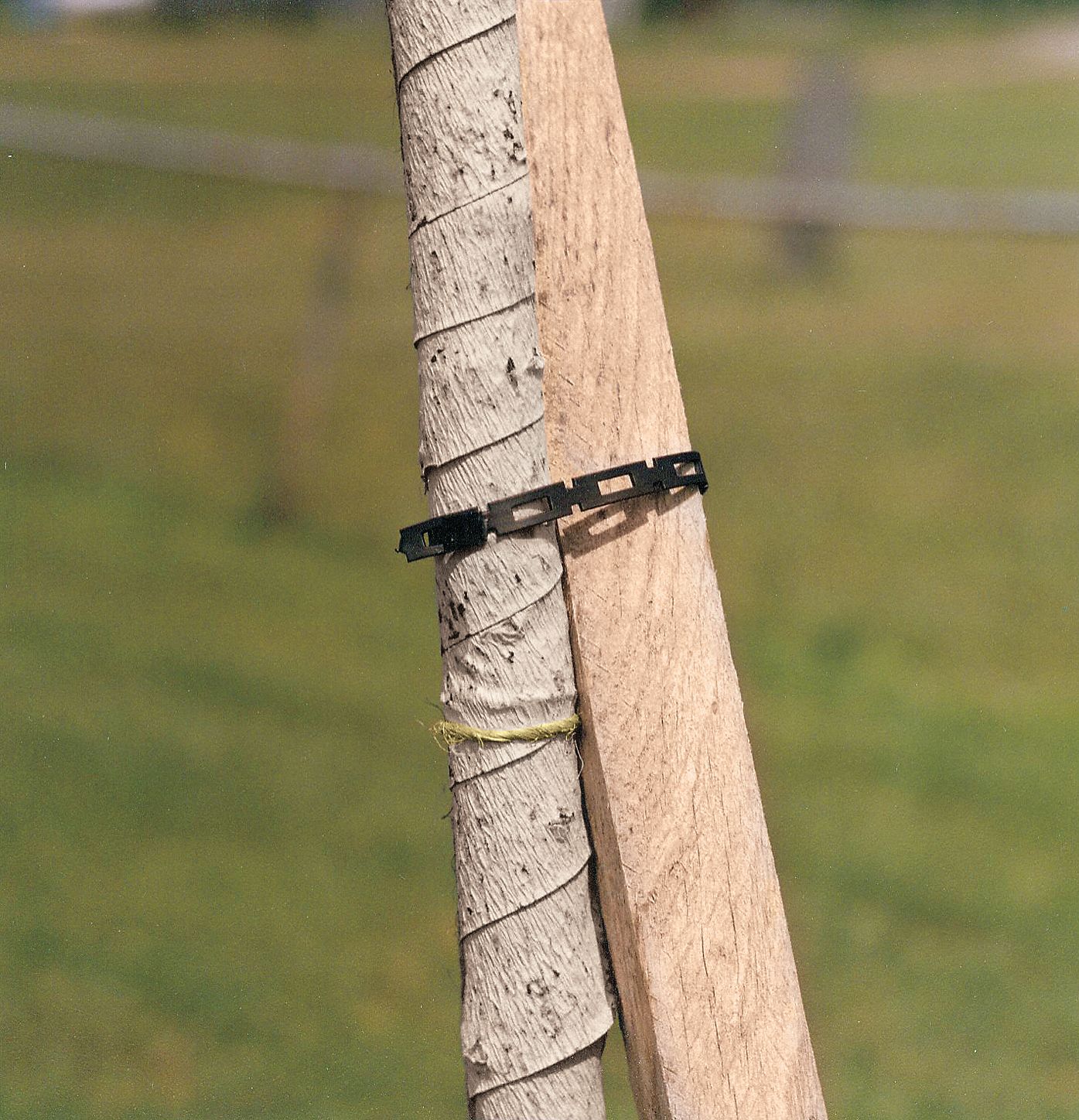 PROLOCK Poly Chain Lock Tree Tie 1/2 In x 250 ft 8GNW31101 Grainger