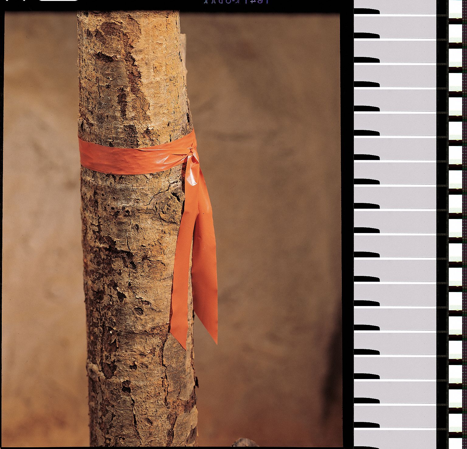 Flagging Tape: Orange, No Legend, No Pattern, 300 ft Lg, 1 in Wd, Vinyl