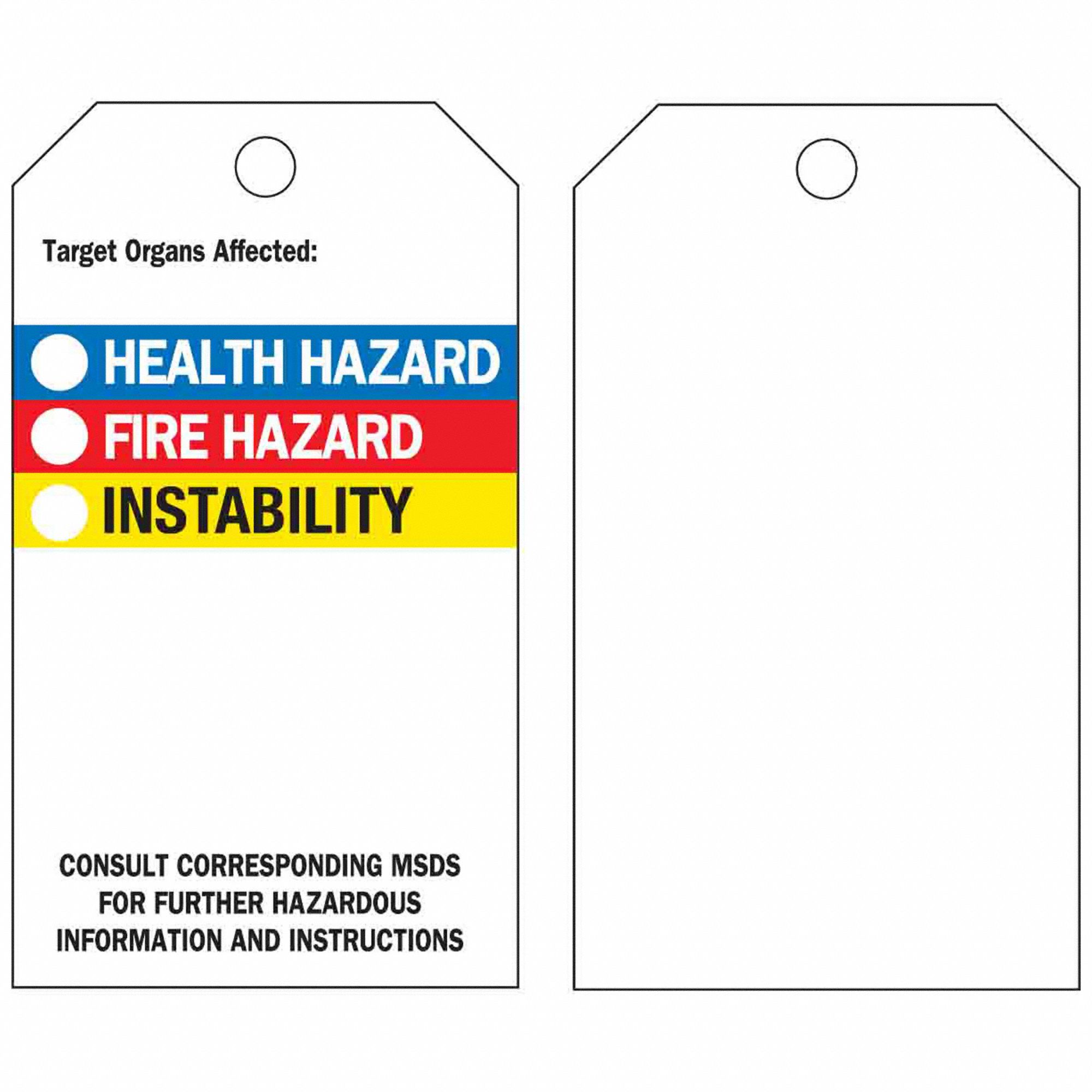 Tag: Polyester, Rectangle, 5 3/4 in Ht, 3 in Wd, 0.01 in Thick, (25) Nylon Ties, White, 25 PK