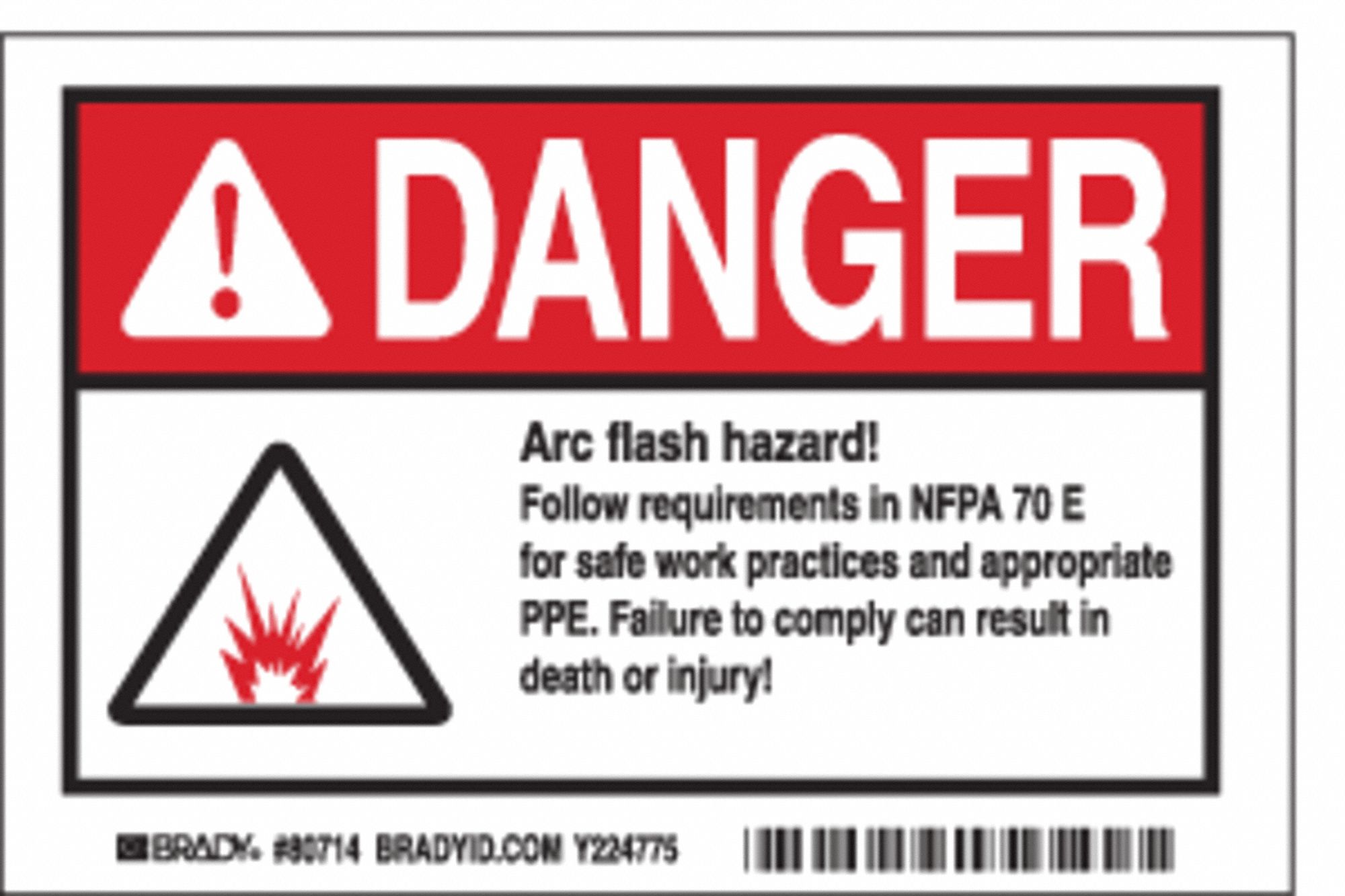 Label, 4 in x 6 in, Polyester, PK5