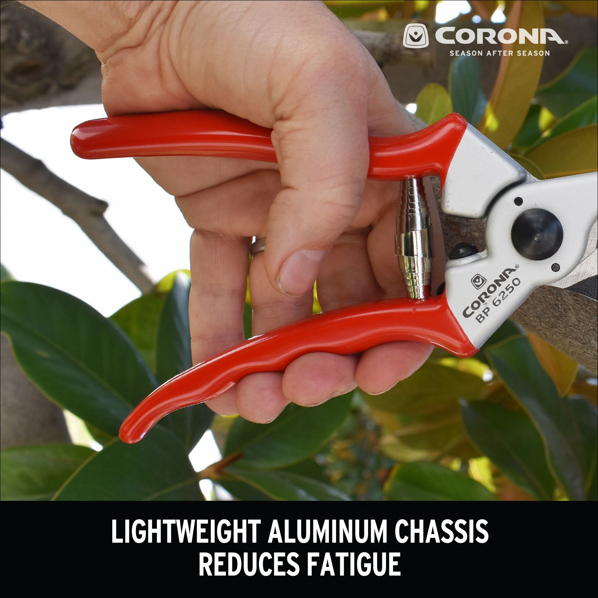 Forged Bypass Pruner, 8-3/4in Length (BP3180) by Corona