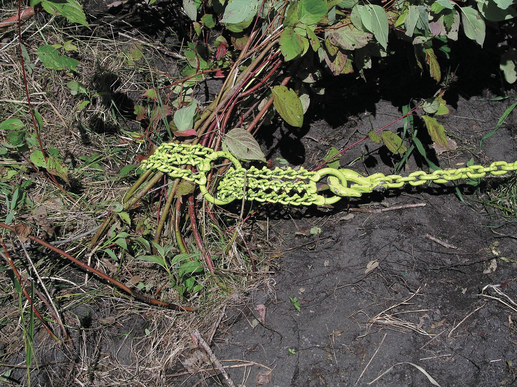 BRUSH GRUBBER Steel Shrub/Clump Grubber; For Use On Shrubs/Clumps to 1