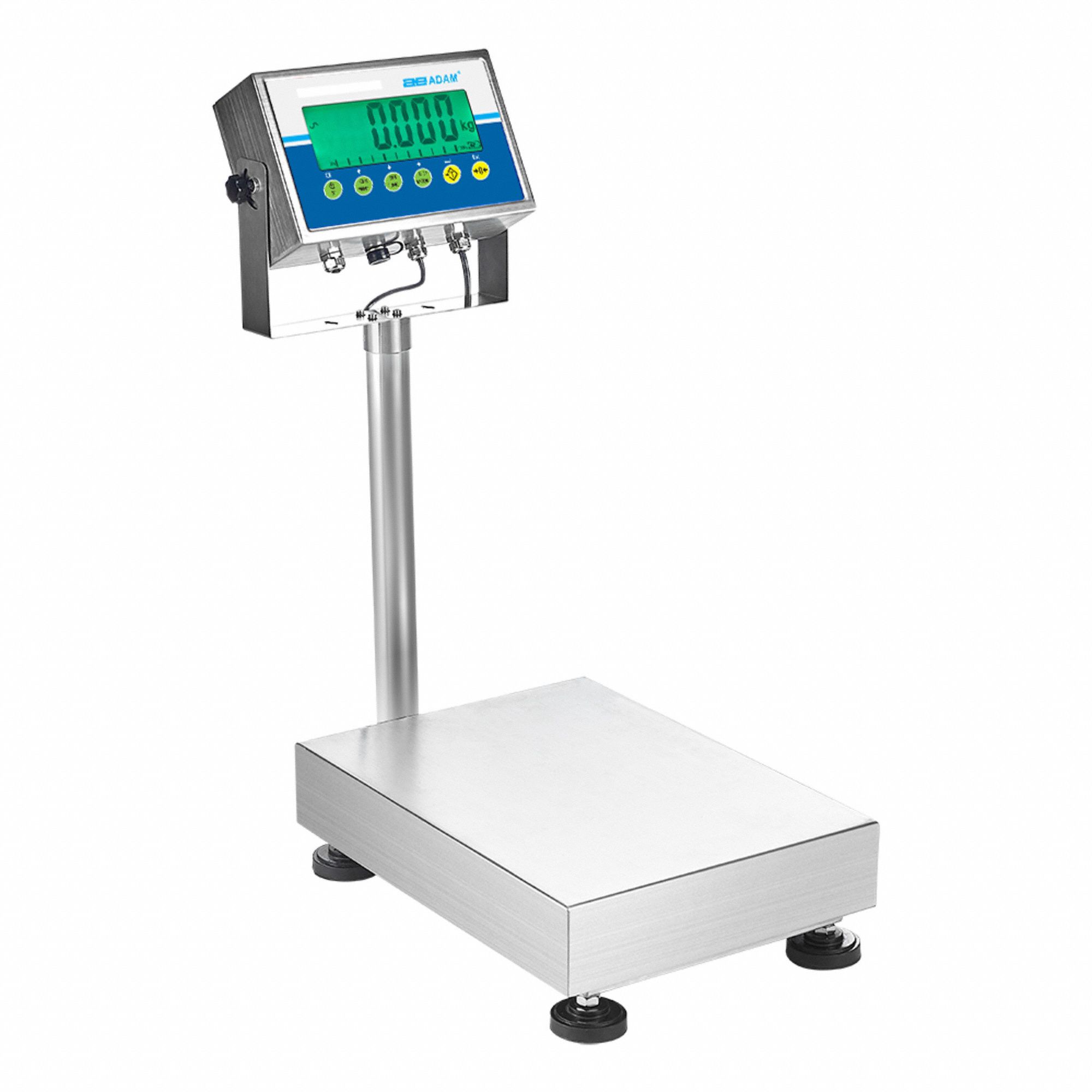 Food Scales - Clone - Weighing Scale - W