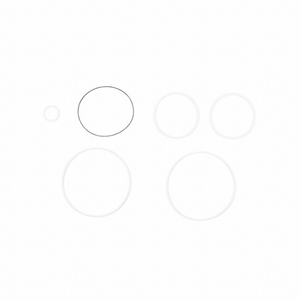 FILL-RITE Teflon Seal Kit: Teflon Seal Kit, Fill-Rite, (6) O-Rings (MPN SK15PTF)