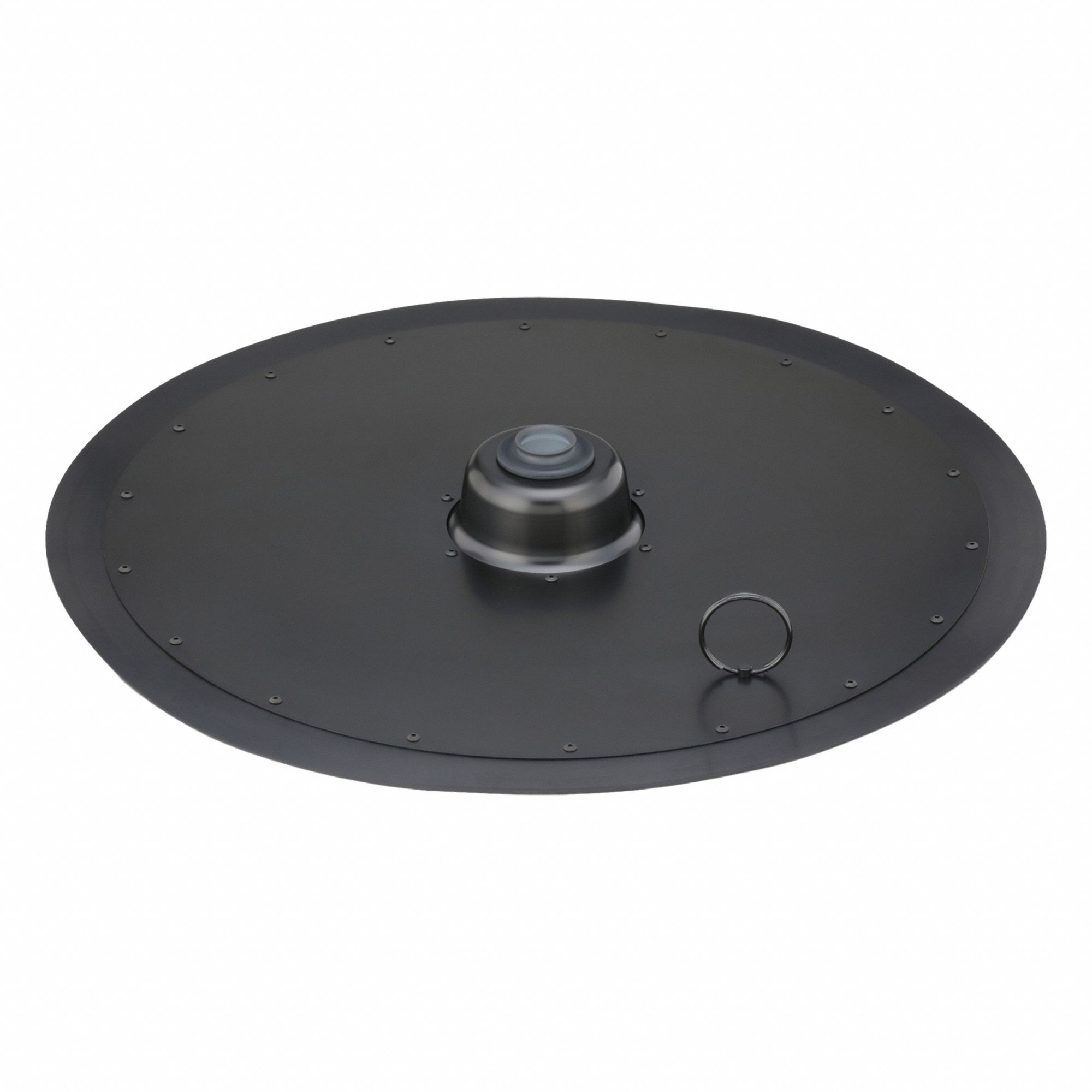 Follower Plate: Follower Plate, 24F903, 246917/253390, Carbon Steel/Nitrile, Plate